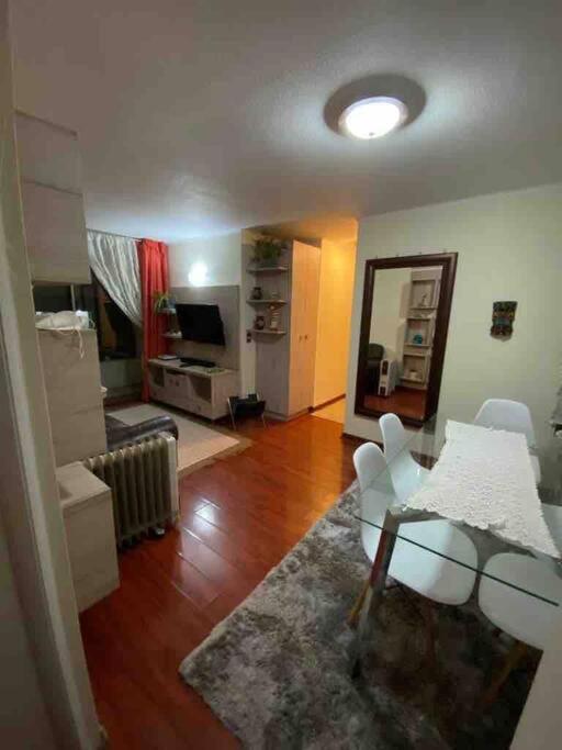 Апартаменты Comodo Departamento En El Centro De Stgo Сантьяго Экстерьер фото